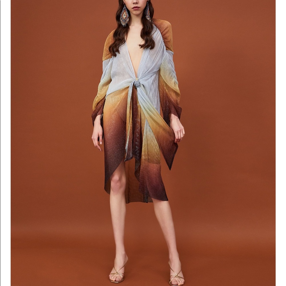 GORGEOUS ZARA NWT Pleated Metallic Dress - Picture 8 of 8